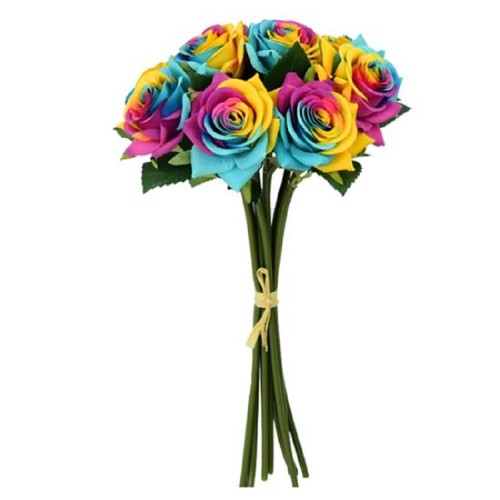 Rainbow roses tied bunch - bunch, 7