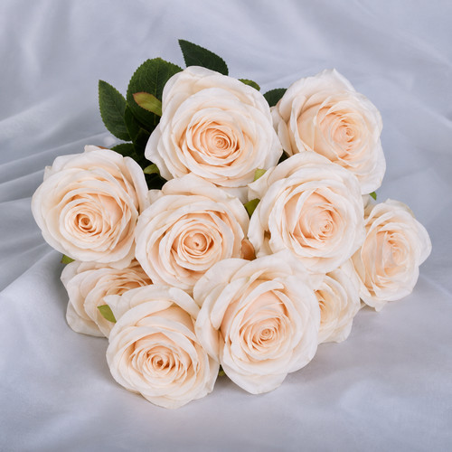 Heads silk rose - heads,