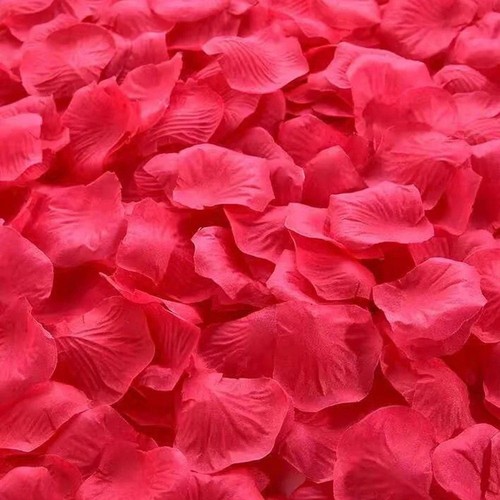 100 500pcs red rose petals - rose, for