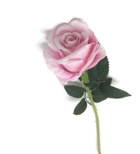 Long single stem velvet touch - stem,